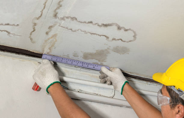 Reliable Water Damage Repair contractor in East Butler, PA by Hirex Water Damage